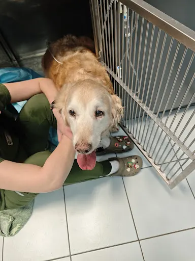 Monavet. Przychodnia weterynaryjna. Mierzwa M., lek. wet.